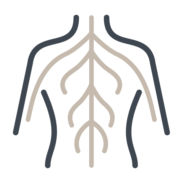 KG ZNS Propriozeptive Neuromuskuläre Fazilitation